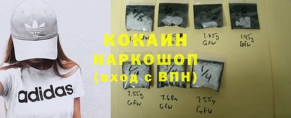 тгк Алзамай