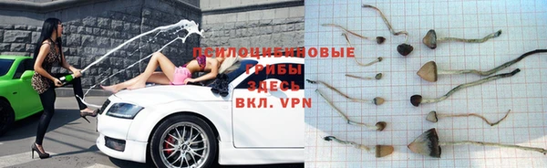 кокаин премиум Алексеевка
