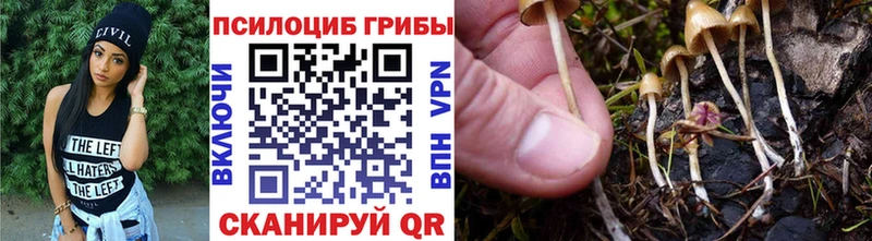 Галлюциногенные грибы мухоморы Спасск